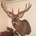 Roger Bratcher - Facebook