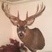 Roger Bratcher - Facebook