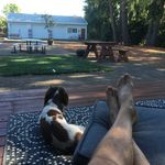 Roger Brock - @rogerbrock425 - Instagram