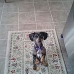 Roger Brodeur - @roger.brodeur.186 - Instagram