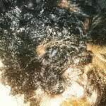 roger - @_.roger_bufford._ - Instagram