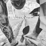 Roger Buff - @rotscher_buff - Instagram