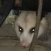 Roger Buffkin - Facebook