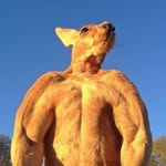 Roger - @roger_the_buff_kangaroo - Instagram