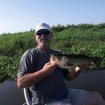 Roger Buffington - @buffingtonroger - Instagram