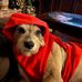 Roger Burdine - Facebook