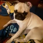 Roger Burney - @rogerburney03 - Instagram