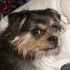 rogerburney61 - @rogerburney61 - TikTok