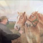 Roger Castonguay - @rogercastonguay2 - Instagram