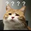 RogerCaswell - @rogercaswell - TikTok