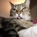 Roger Cato (aka Primo) - @orogercato - Instagram