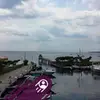 Roger Catt - @rogercatt2 - TikTok