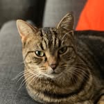 Roger Cattington - @roger_cattington - Instagram