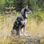 Roger Lundgren - @cattis_roger - Instagram