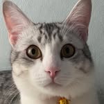 ʀᴏɢᴇʀ. - @roger.catt - Instagram