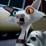 Roger The Cat - @roger_the_catt - Instagram