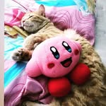Rogercatto - @rogercatto - Instagram