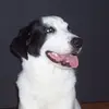 Roger Champagne - @2181633968 - TikTok