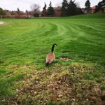 Roger Chao - @roger.chao128 - Instagram