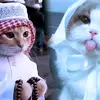 Roger Chase - @roger.chase0 - TikTok