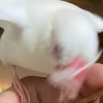 Roger Chen - @pikagerc - Instagram