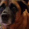 Roger Childs - @roger.childs - TikTok