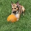 Roger Clausen - @roger.clausen - TikTok