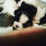 Roger Clay - @rclay4funtime - Instagram