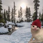Claytoon - @clayton._.roger - Instagram