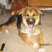 Roger Clayton - Facebook