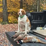 Roger Cockerill - Facebook