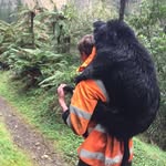 Nathan Roger Collier - @_nathancollier - Instagram