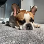 @roger_collier - Instagram