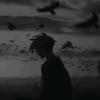 ✨Røgêr Čølønîą✨ - @roger_colonia - TikTok