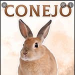 CONEJO - @roger_conejo_cubero - Instagram