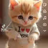 roger coner - @roger.coner0 - TikTok