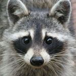 Roger Conrad - @rogerconrad1 - Instagram