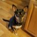 Roger Cooley - Facebook
