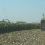 Roger Cooley - @cooleyfarms - Instagram