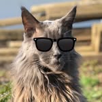 Roger - @rogercoonie - Instagram