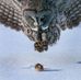 Rodger Corcoran - Facebook