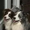 Roger Cramer - @roger.cramer - TikTok