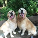 Roger Crane - @rogercrane69 - Instagram