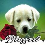 Roger Cundiff - @roger.cundiff.161 - Instagram