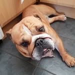 Benjamin Roger Cupples - @benjamincupples - Instagram