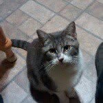 roger cupples - @rog.odell1963 - Instagram