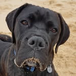 Roger Cupples - @cupplesroger - Instagram