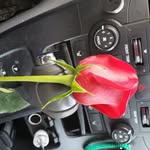 Roger Currie - @rogercurrie4 - Instagram