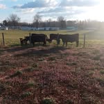Roger Currie - @roger.currie.73 - Instagram