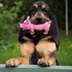 Roger Dahl - @rogerdahl57 - Instagram